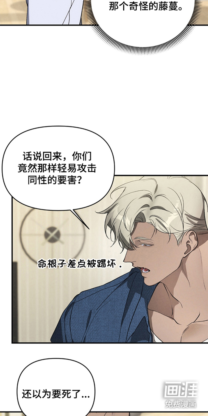 被播种的日子漫画-图2