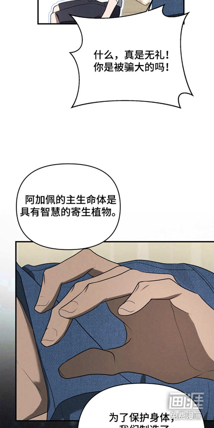 被播种的日子漫画-图14