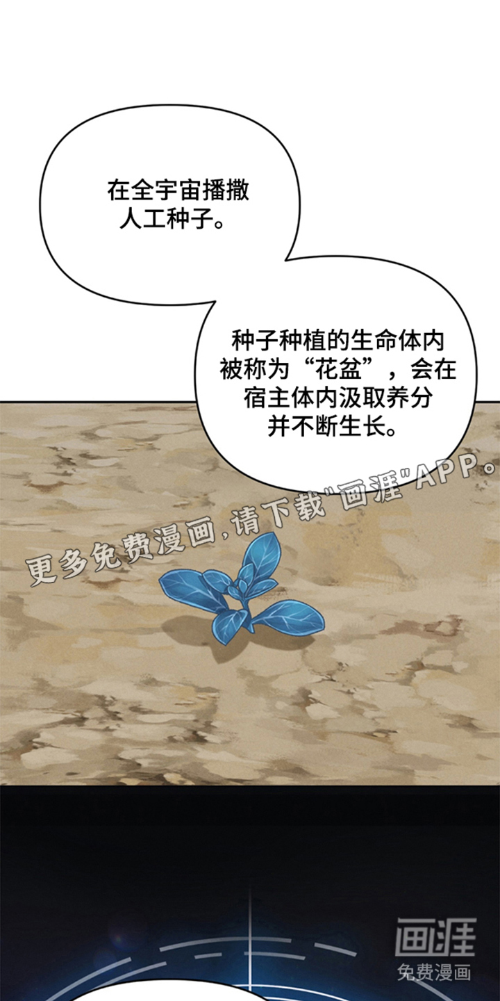 被播种的日子漫画-图1