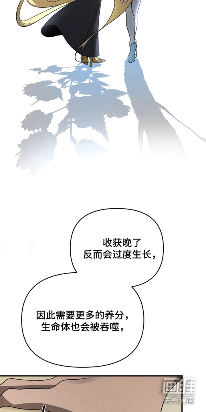 被播种的日子漫画-图6