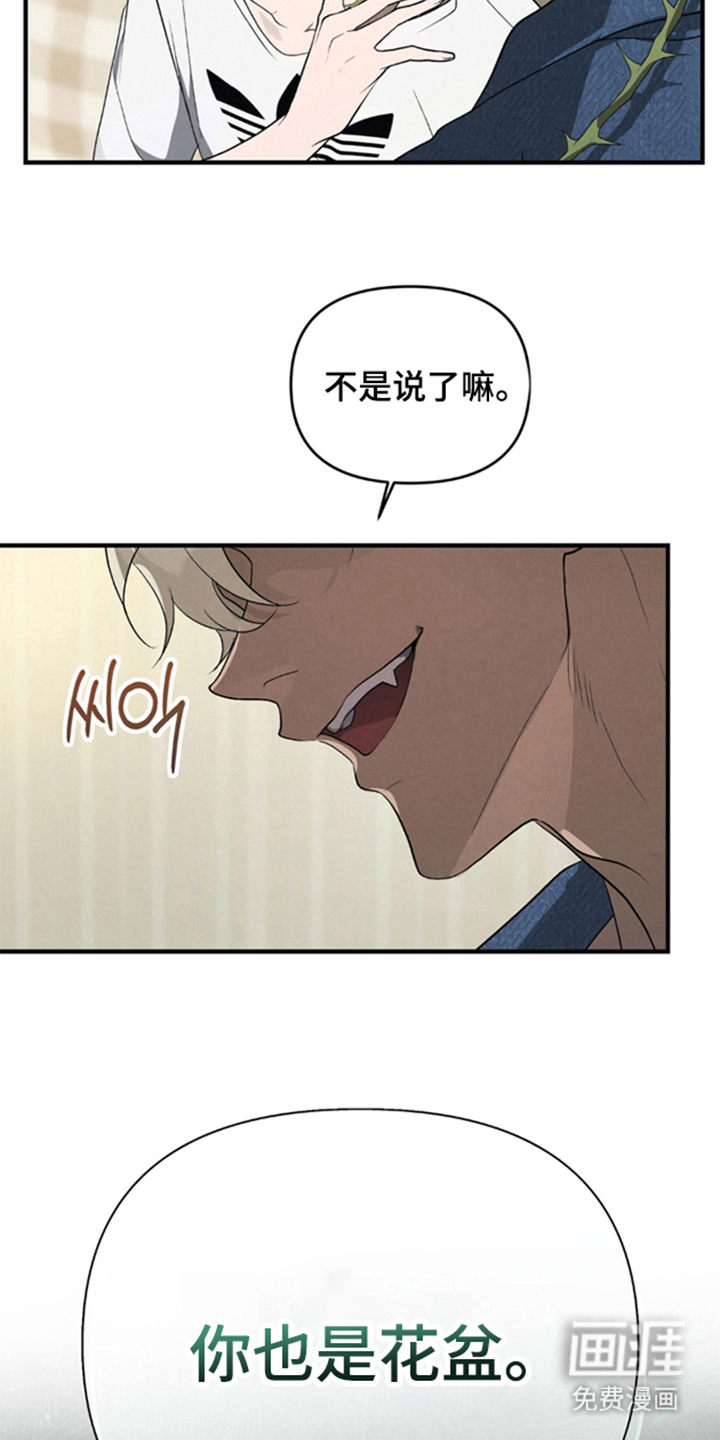 被播种的日子漫画-图8