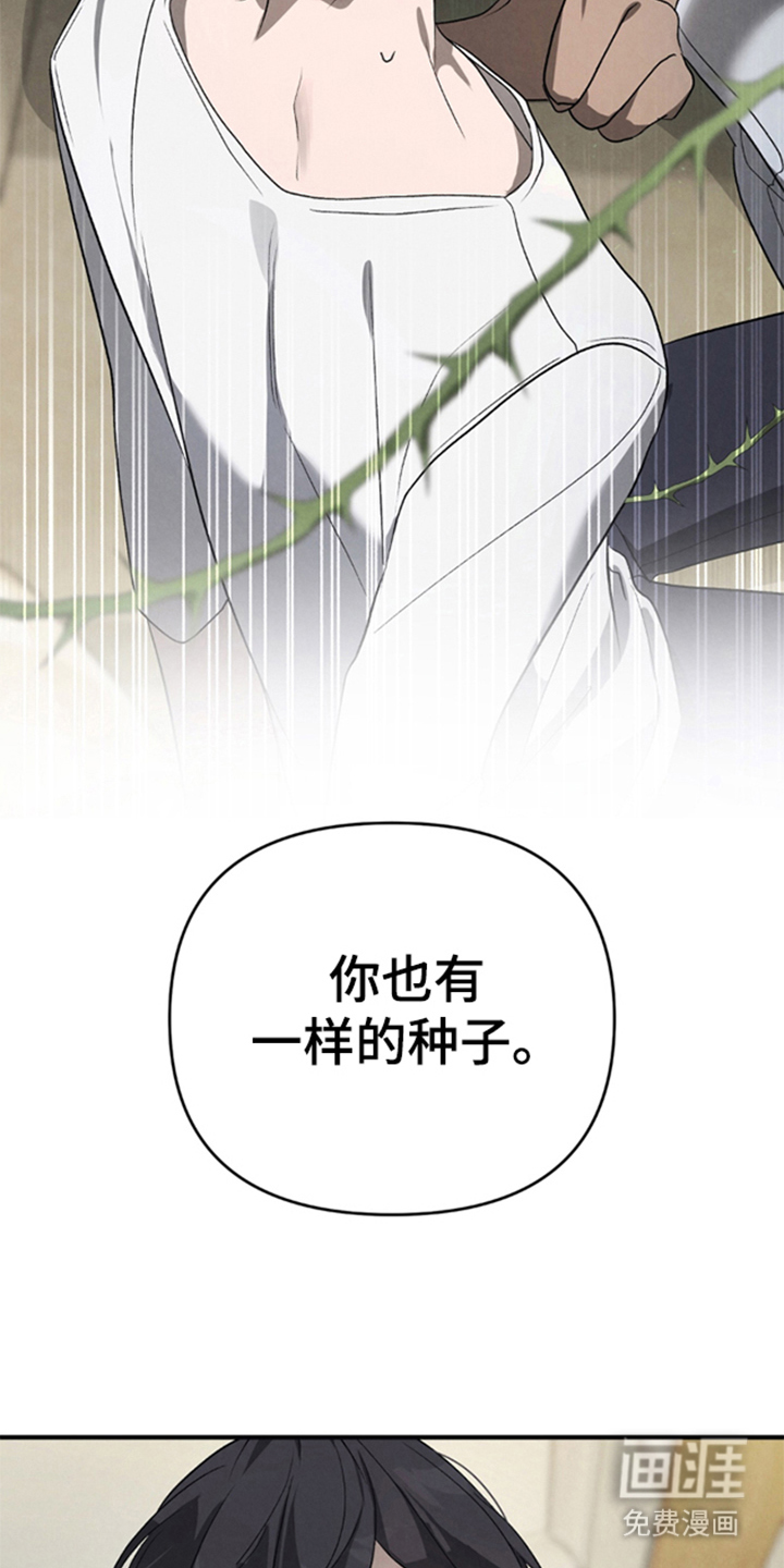 被播种的日子漫画-图10