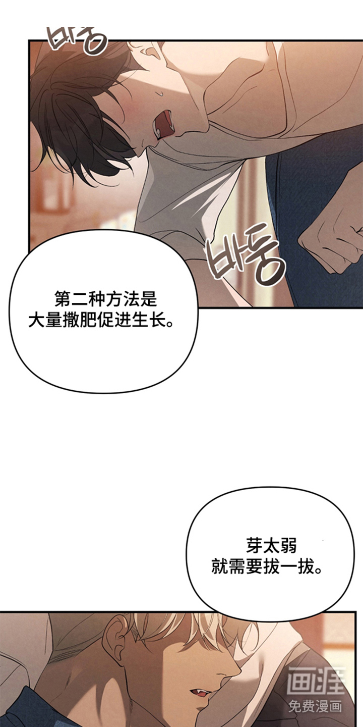 被播种的日子漫画-图0