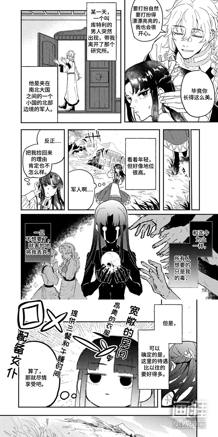 不死新郎与毒花漫画-图5
