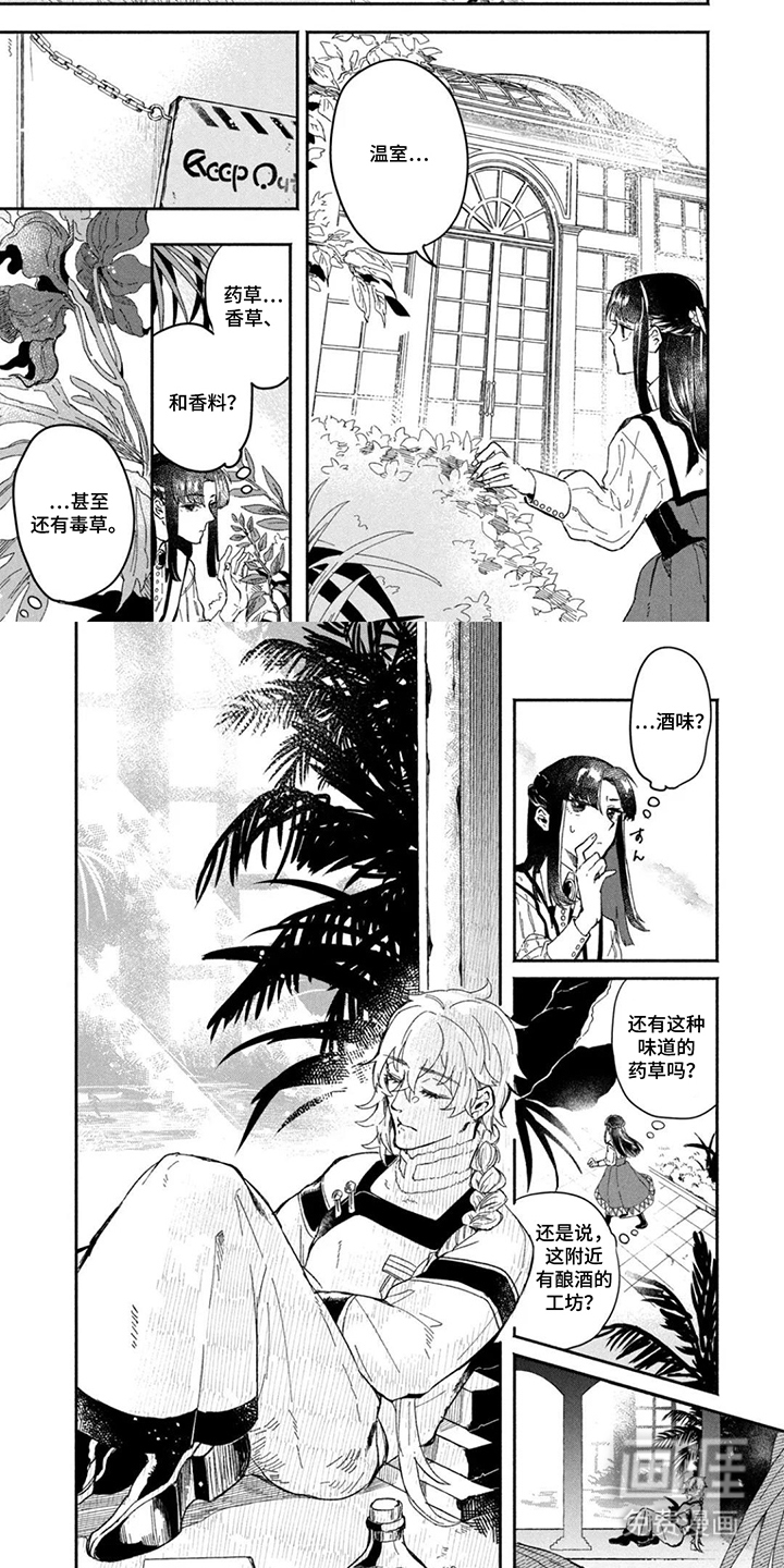 不死新郎与毒花漫画-图6