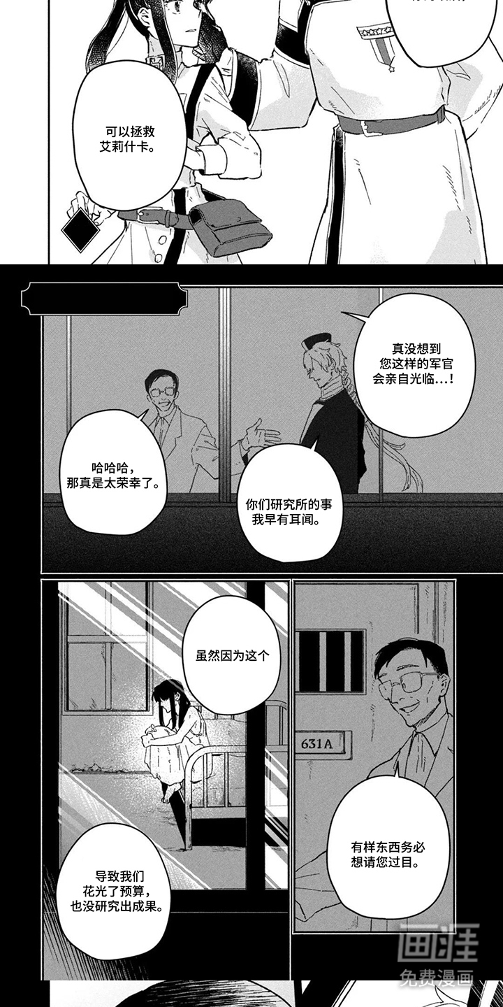 不死新郎与毒花漫画-图4