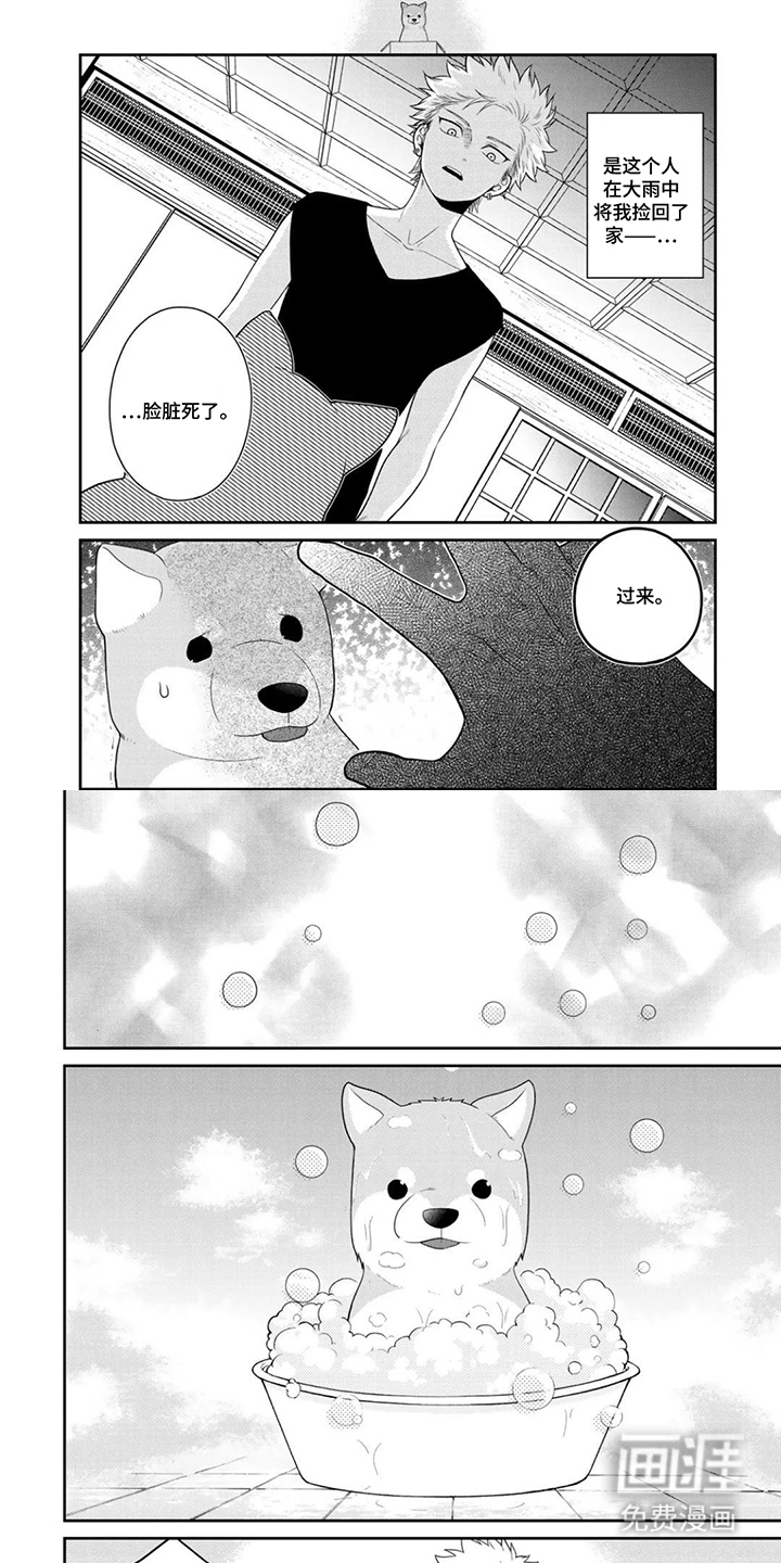 不良与犬漫画-图3