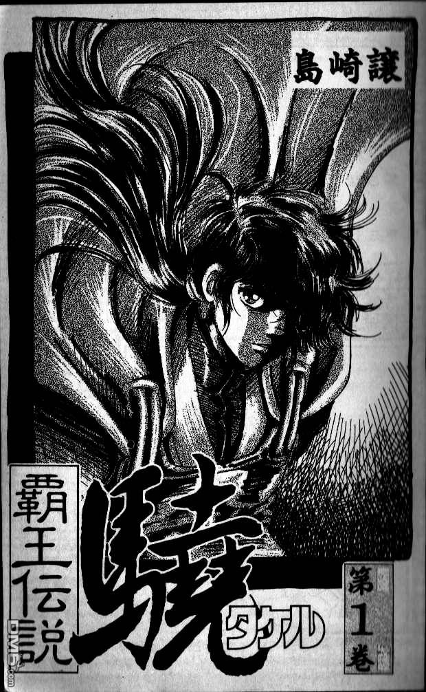 霸王传说第1卷图