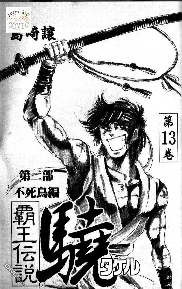 霸王传说第13卷图