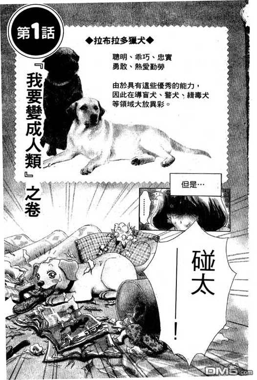 变身小辣妹第1卷图