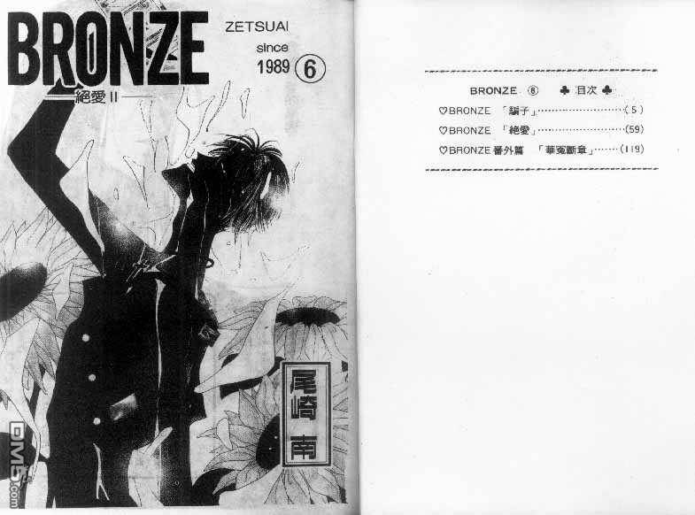 Bronze第6卷图