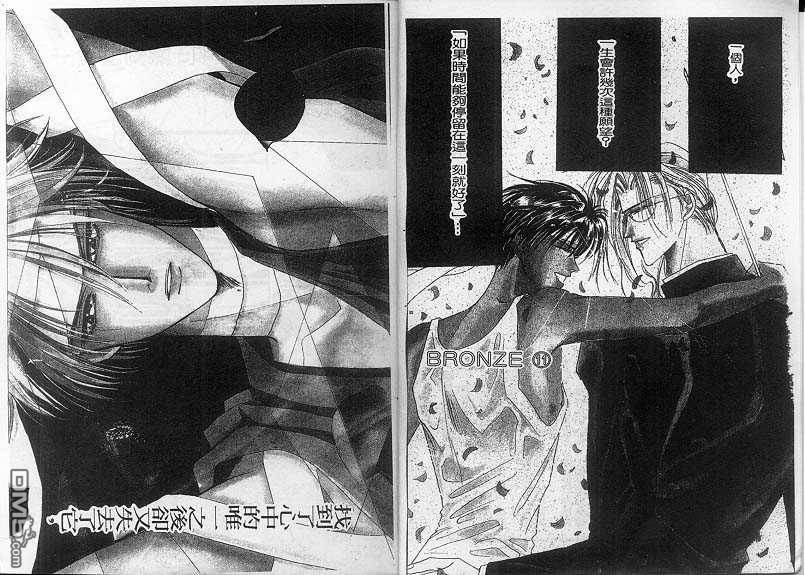 Bronze第11卷图