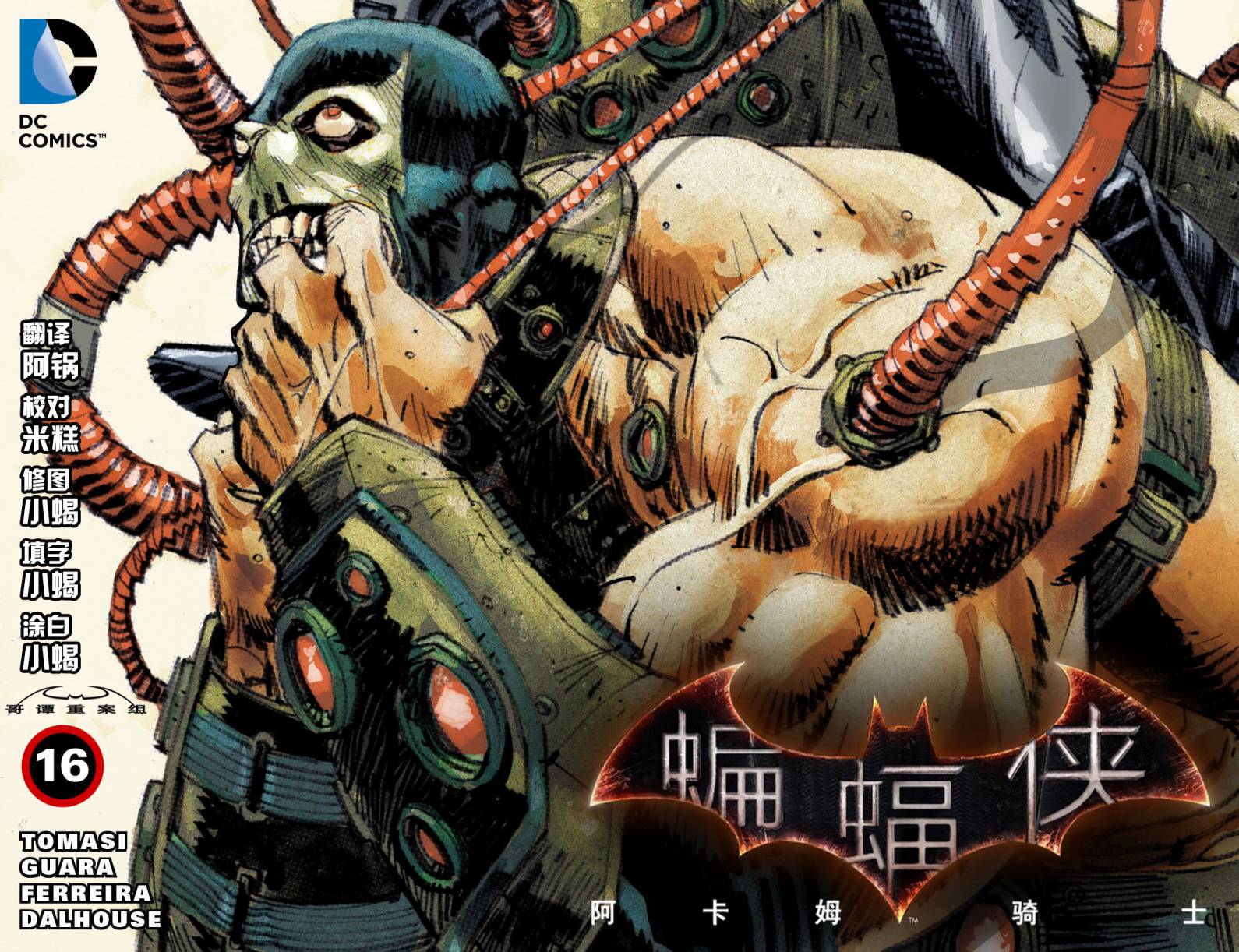 蝙蝠侠：阿卡姆骑士第16卷图