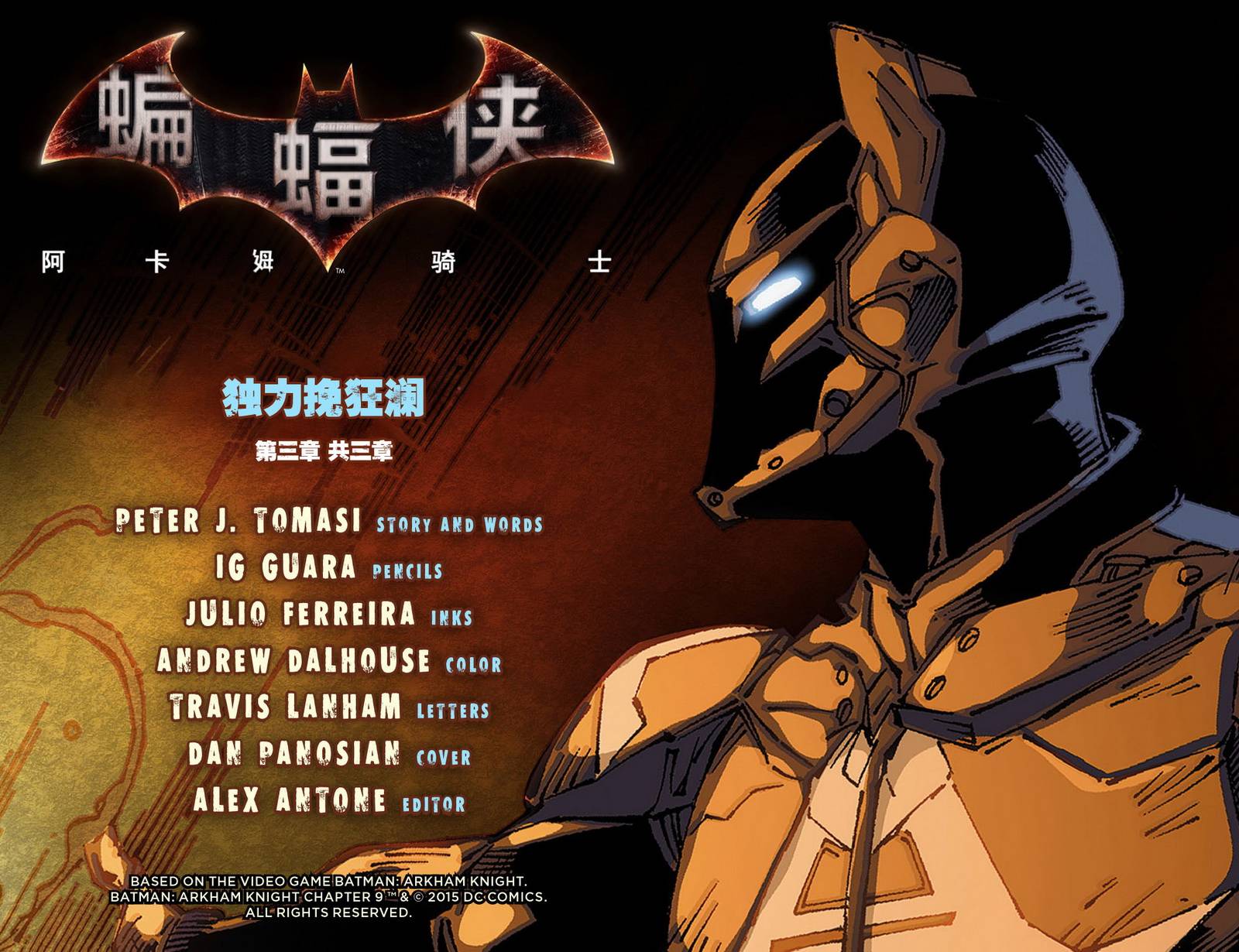 蝙蝠侠：阿卡姆骑士第9卷图