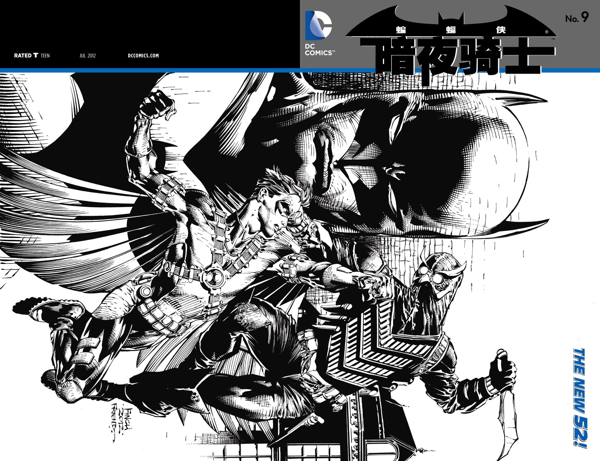 蝙蝠侠 暗夜骑士第9卷图