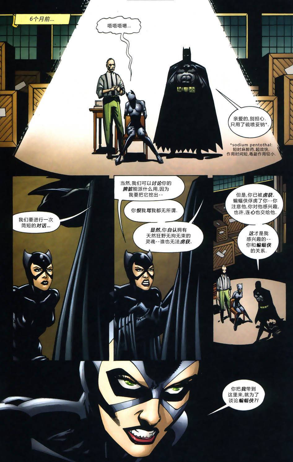 蝙蝠侠：高谭骑士 第8卷 第10页