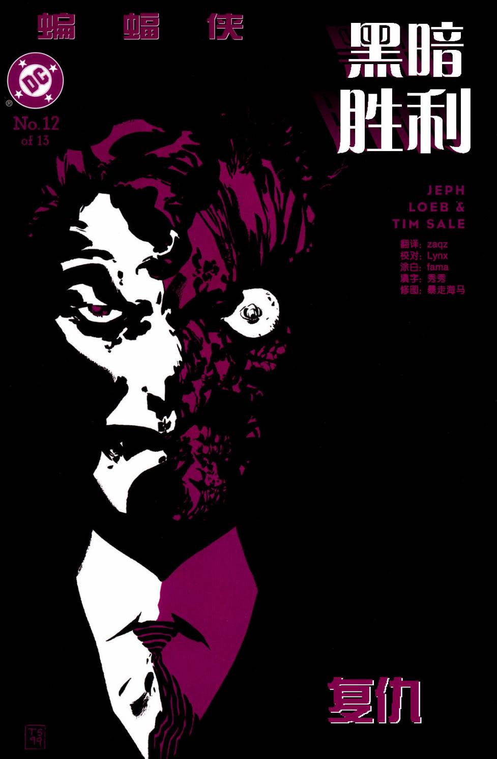 蝙蝠侠:黑暗胜利第12卷图