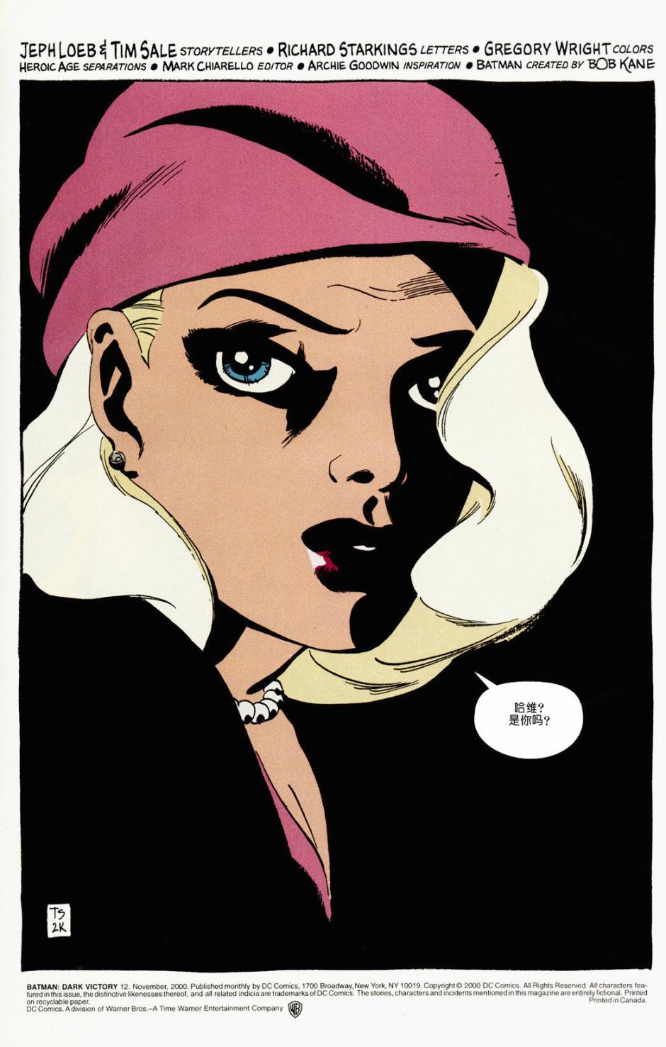 蝙蝠侠:黑暗胜利第12卷图