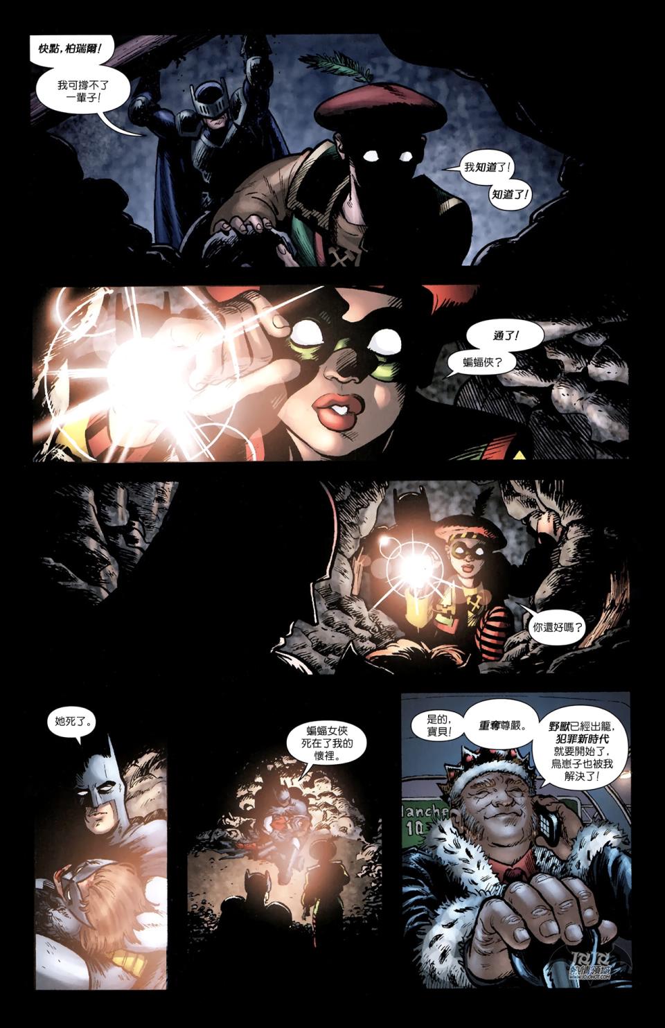蝙蝠侠与罗宾v1第8卷图