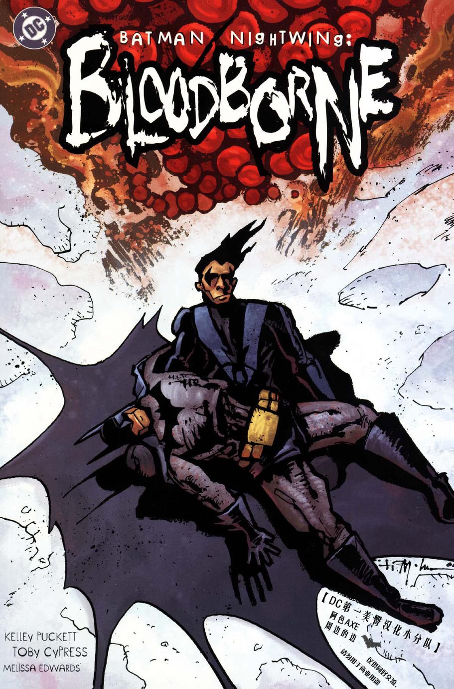 蝙蝠侠与夜翼：血咒全1卷图