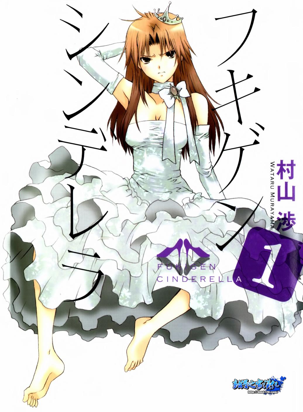 不高兴的灰姑娘第1话图