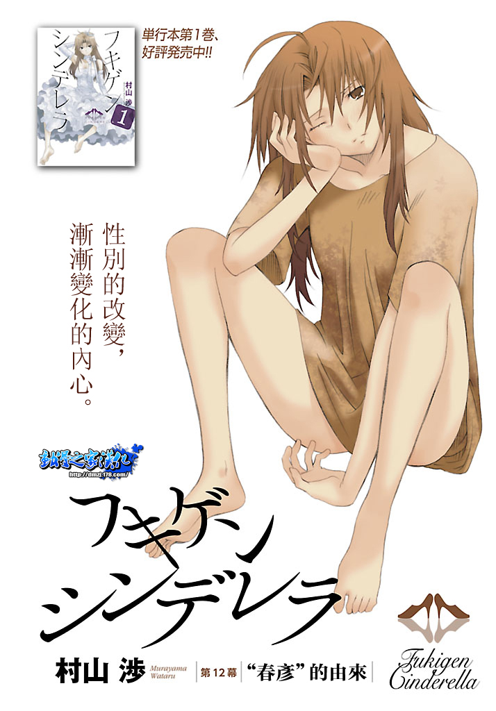 不高兴的灰姑娘第12话图