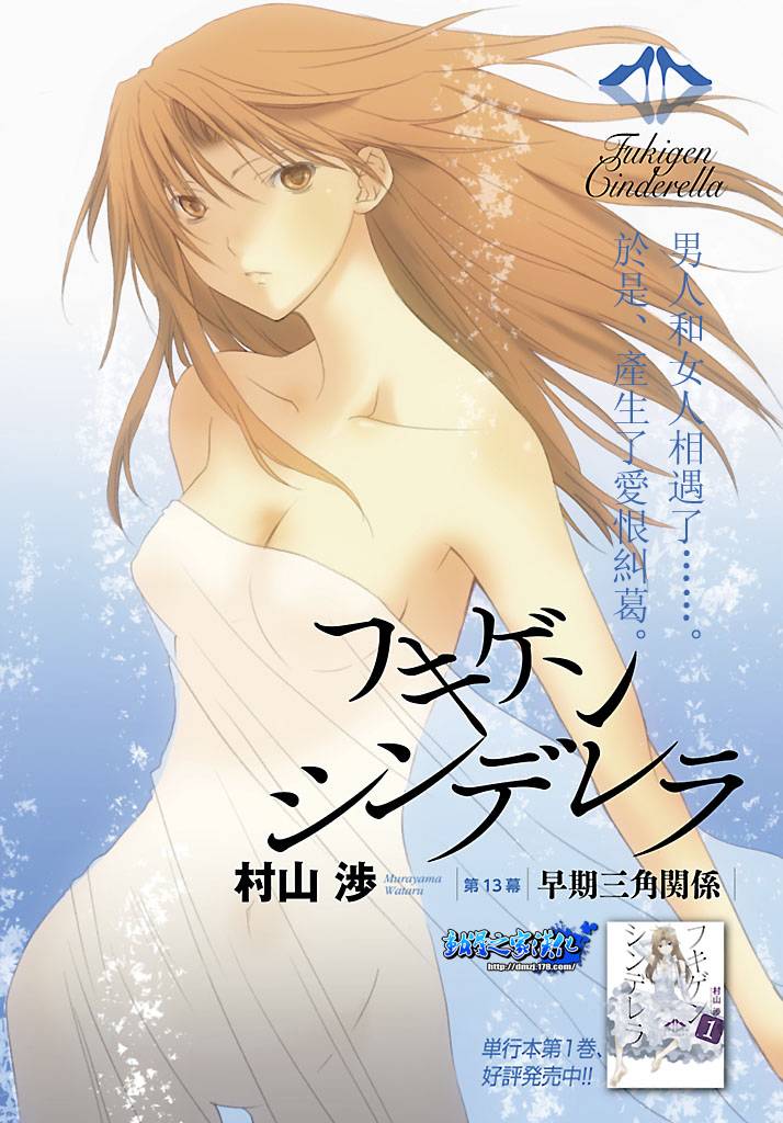 不高兴的灰姑娘第13话图