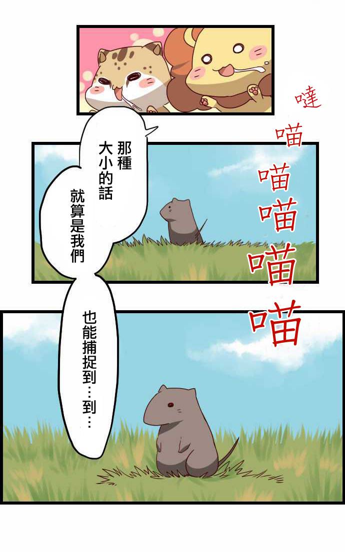 百兽之王鬃毛喵喵第16话图