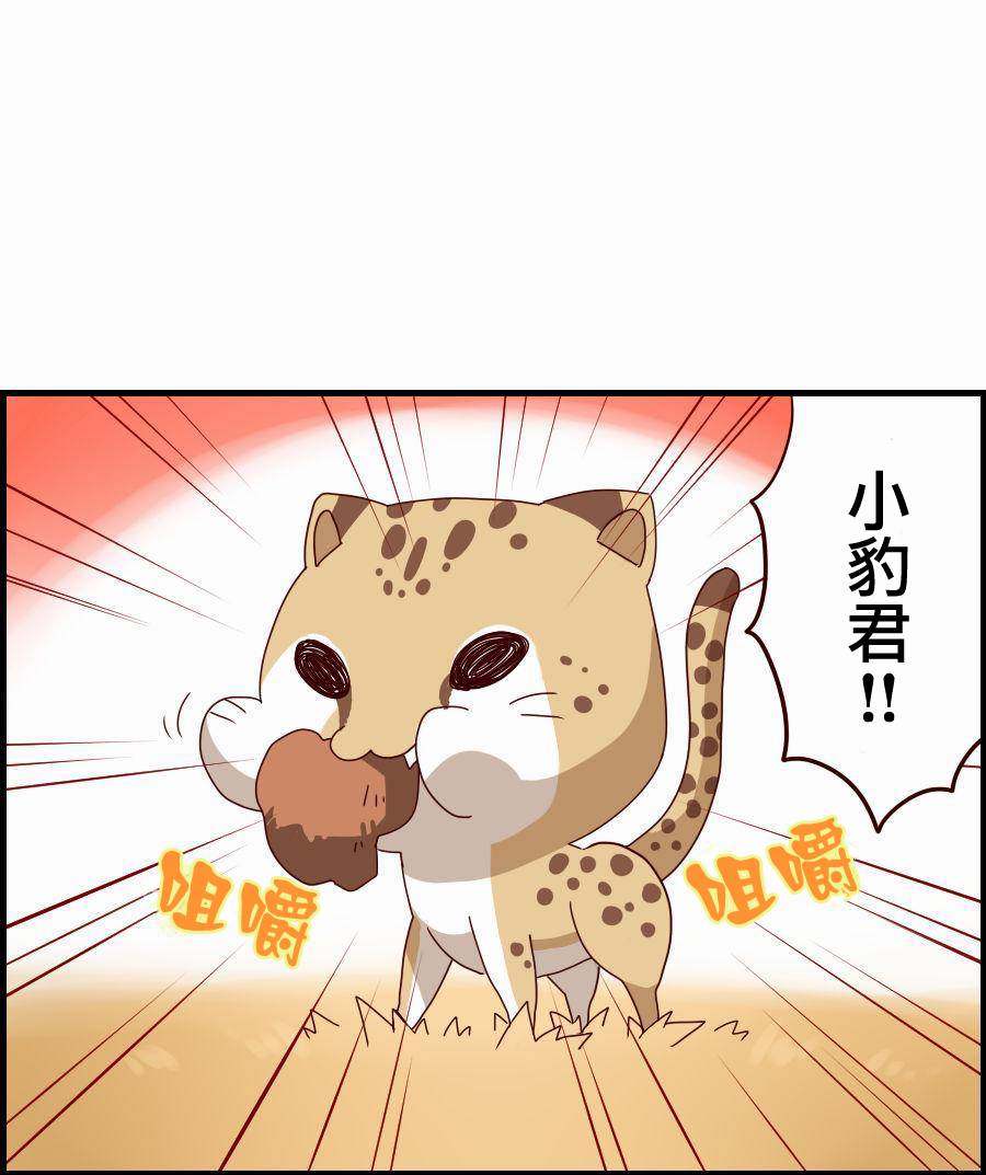 百兽之王鬃毛喵喵第2话图