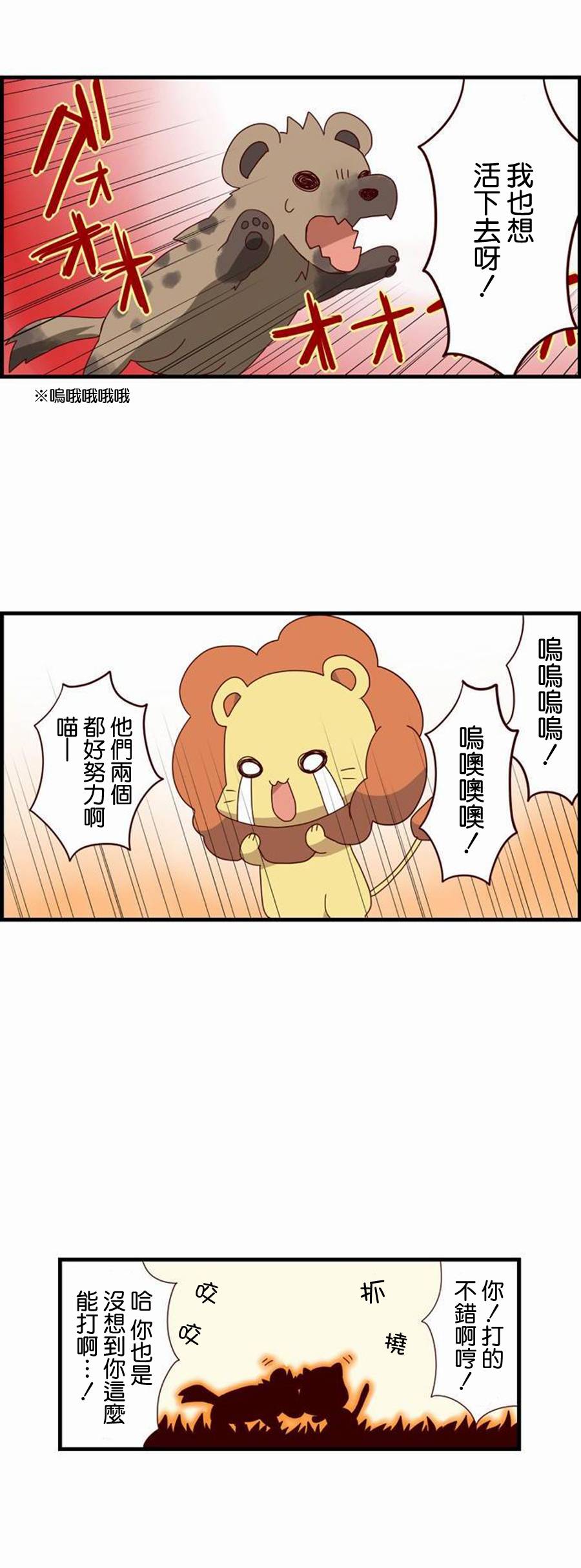 百兽之王鬃毛喵喵第3话图