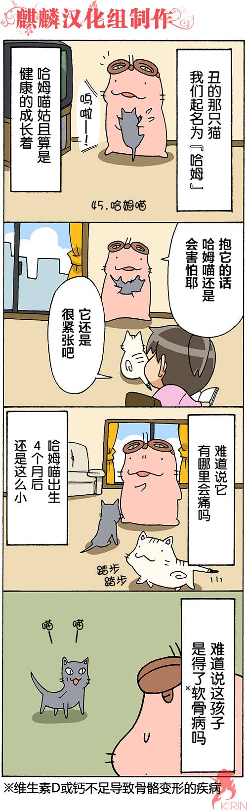 笨太的日常生活第45-48话图