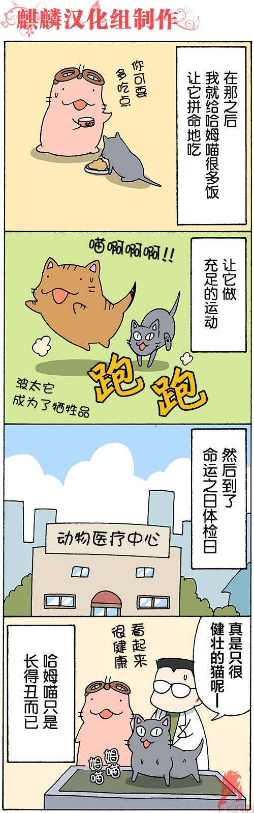 笨太的日常生活第45-48话图