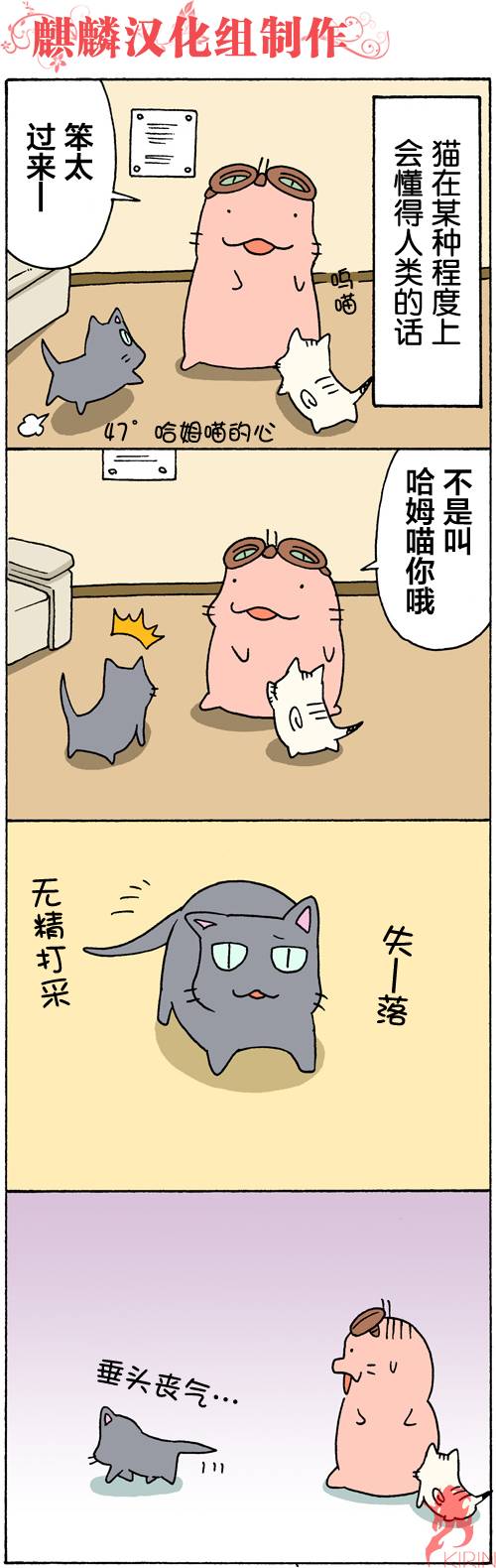 笨太的日常生活第45-48话图