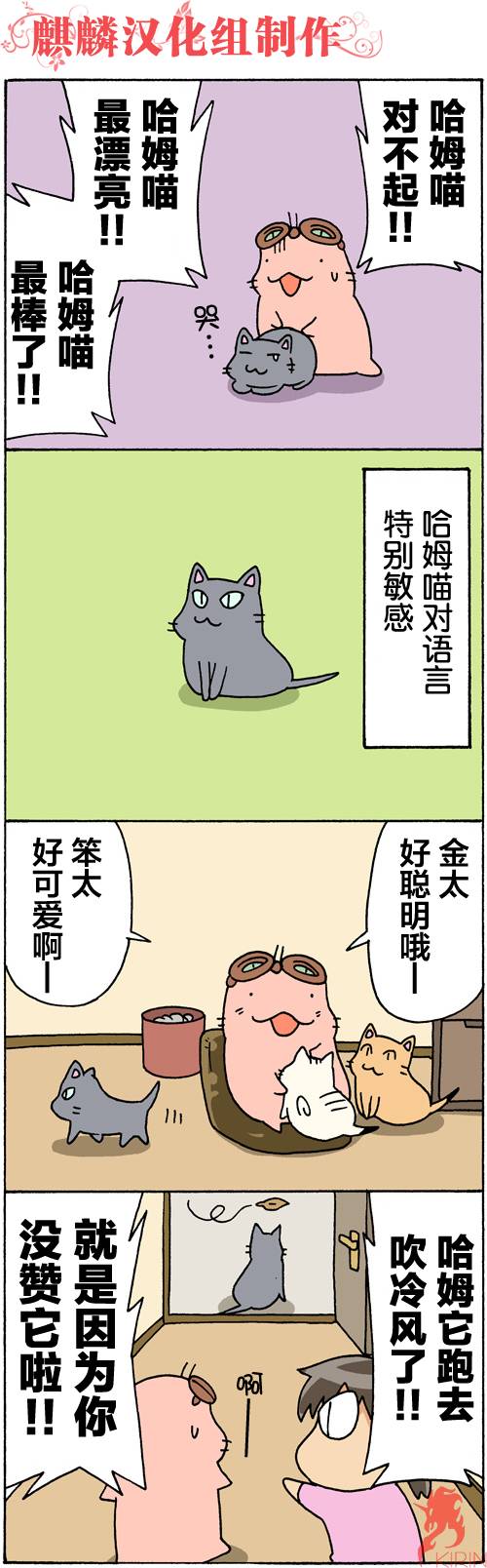 笨太的日常生活第45-48话图