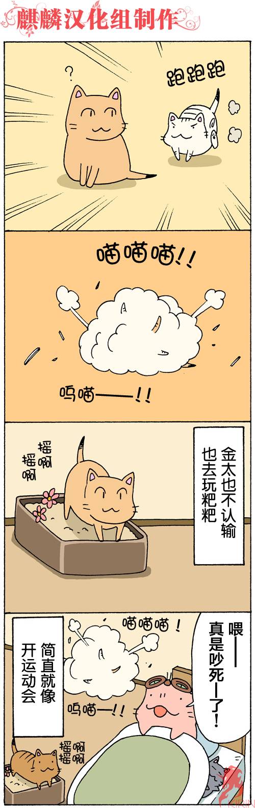 笨太的日常生活第45-48话图