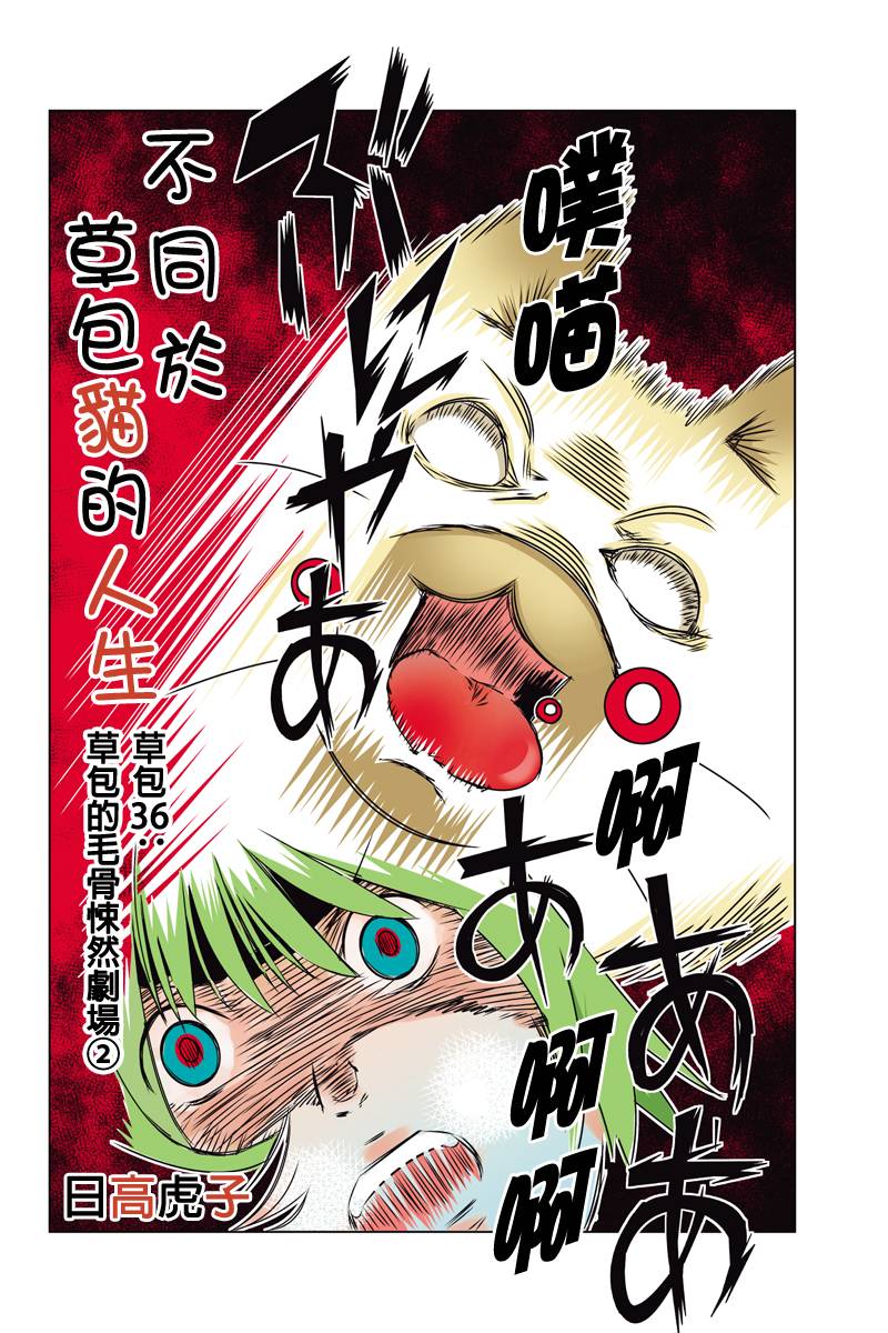 不同于草包猫的人生第36话图