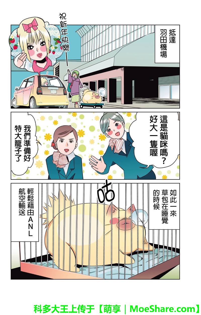 不同于草包猫的人生第40话图