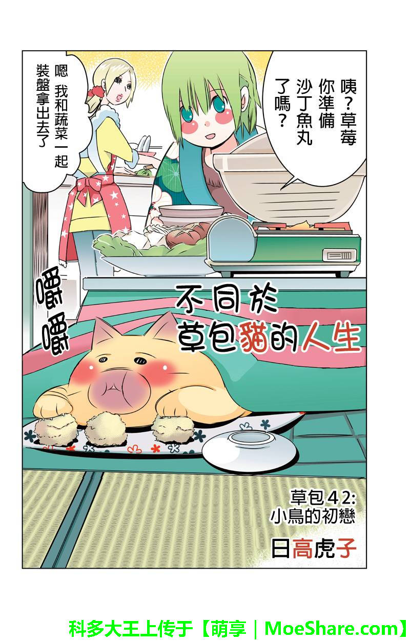 不同于草包猫的人生第42话图