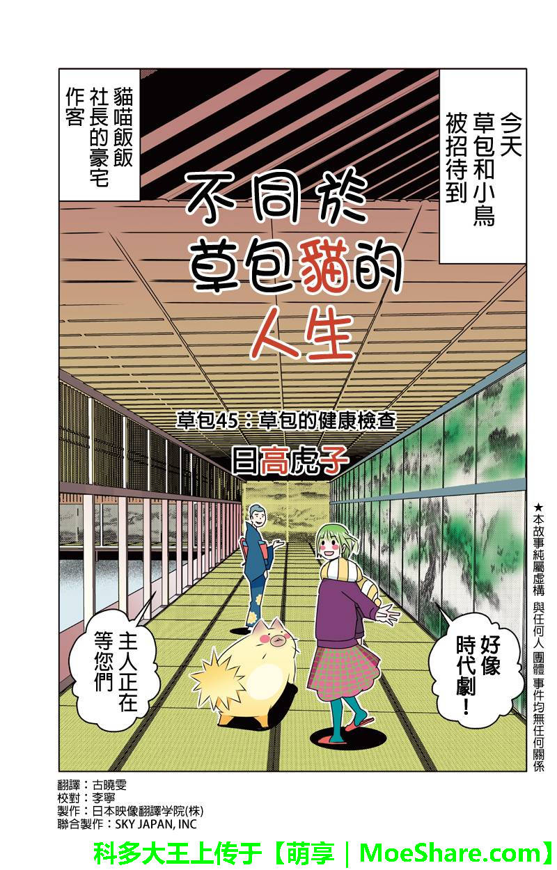 不同于草包猫的人生第45话图