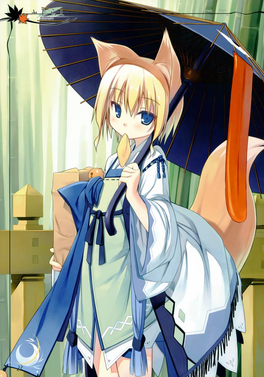 白玉团子番外篇图