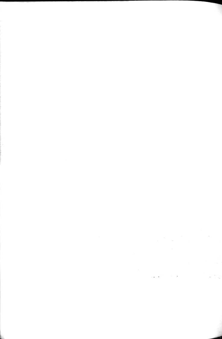 波族传奇第4卷图