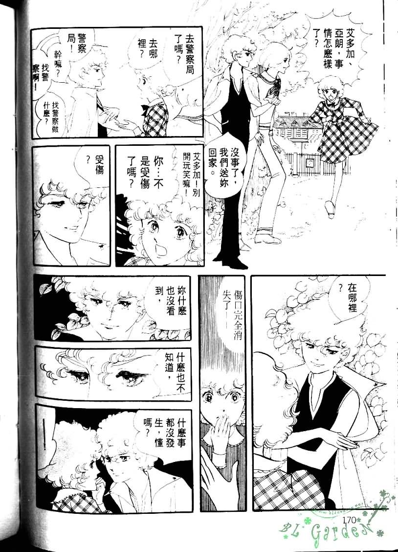 波族传奇第4卷图