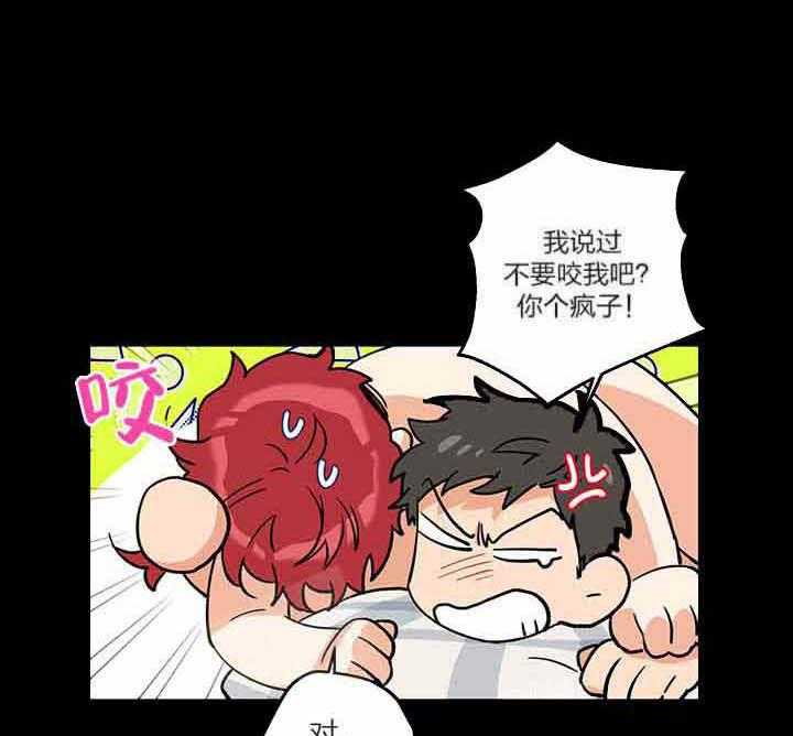 蠢狼抱枕饲养录 第1话 第6页