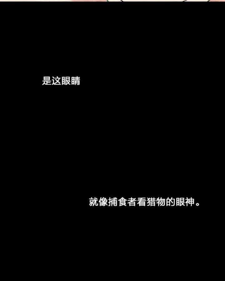 蠢狼抱枕饲养录 第1话 第9页