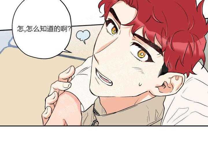 蠢狼抱枕饲养录 第13话 第19页