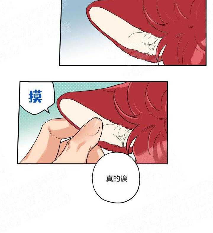 蠢狼抱枕饲养录 第16话 第23页