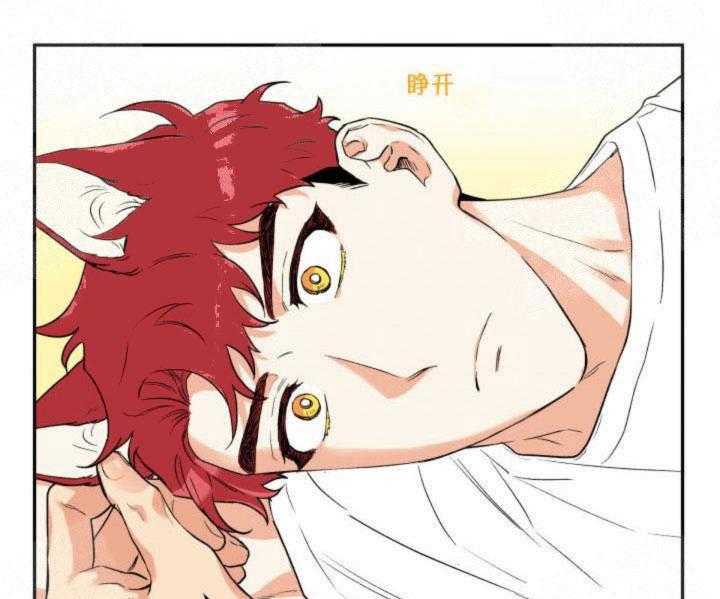 蠢狼抱枕饲养录 第16话 第24页