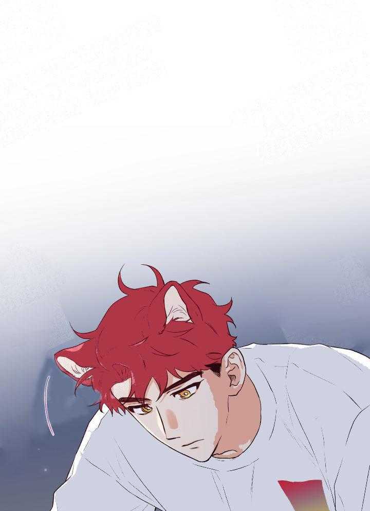 蠢狼抱枕饲养录 第17话 第0页