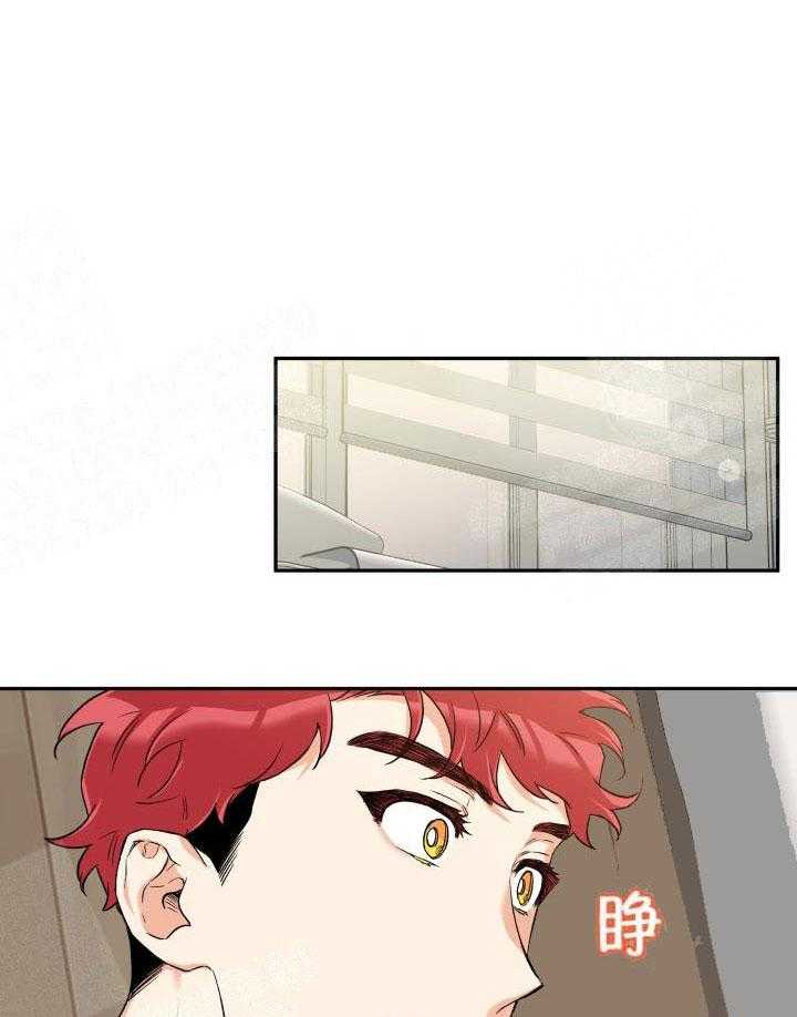 蠢狼抱枕饲养录 第17话 第19页