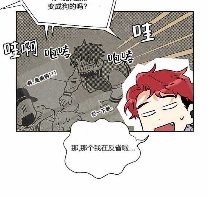 蠢狼抱枕饲养录 第2话 第3页